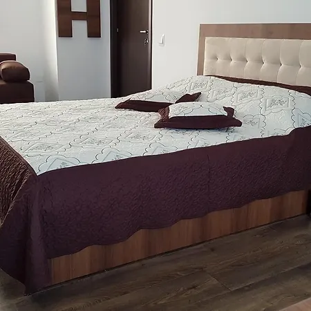 Leon コンスタンツァ