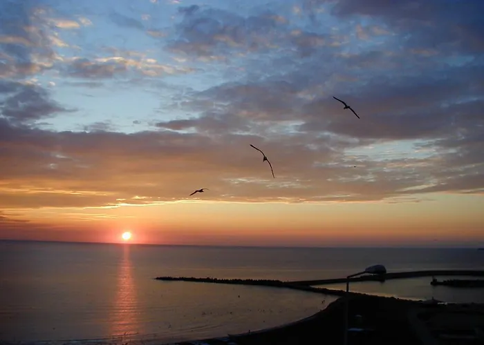 Leon * コンスタンツァ